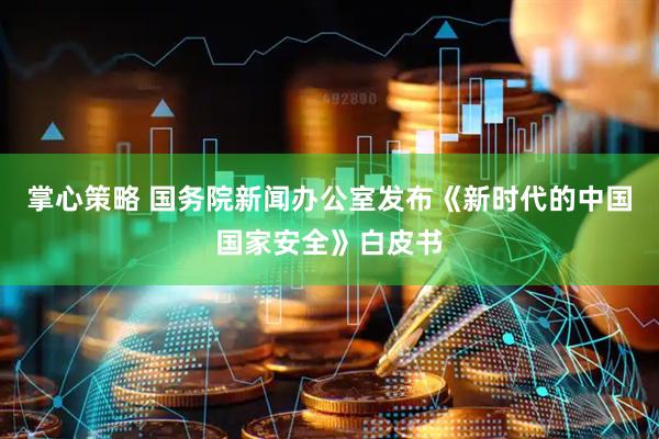 掌心策略 国务院新闻办公室发布《新时代的中国国家安全》白皮书