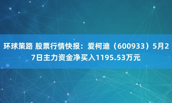 环球策路 股票行情快报：爱柯迪（600933）5月27日主力资金净买入1195.53万元