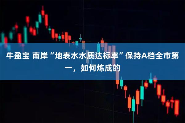 牛盈宝 南岸“地表水水质达标率”保持A档全市第一，如何炼成的