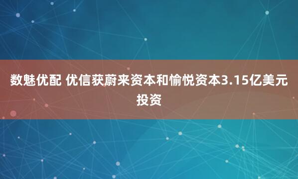 数魅优配 优信获蔚来资本和愉悦资本3.15亿美元投资