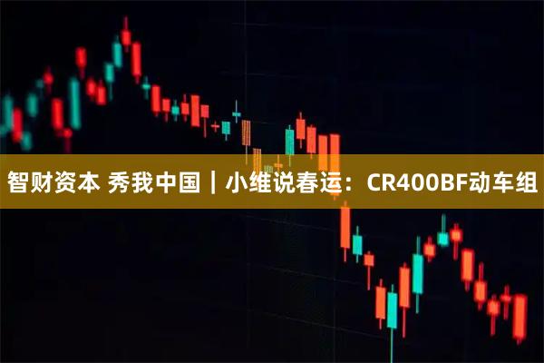 智财资本 秀我中国｜小维说春运：CR400BF动车组