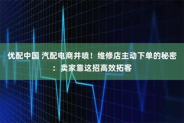 优配中国 汽配电商井喷！维修店主动下单的秘密：卖家靠这招高效拓客